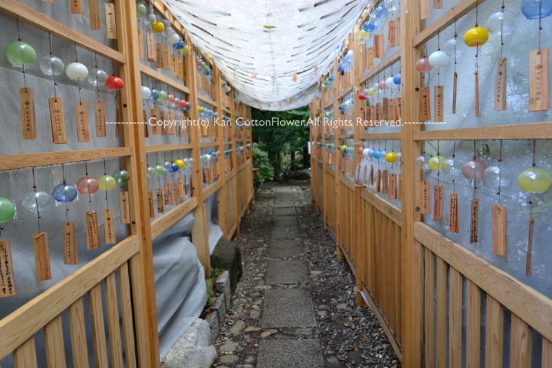 川越氷川神社